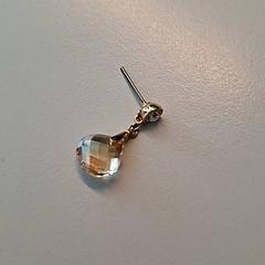 イヤリング がiLostで Ziekenhuis Oost-Limburg によって報告されました