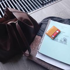 Bruine handtas, som rapportert til iLost