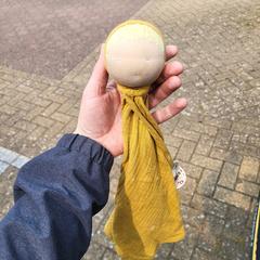 Gele pop, como reportado ao iLost