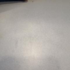 Sleutelbos, zgłoszono przez Walibi Holland przy użyciu iLost