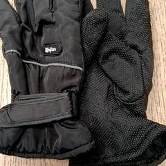 Rukavice, jak nahlášeno RRReis Trein Amersfoort / Ede-Wageningen pomocí iLost