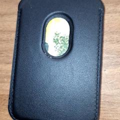 Pashouder de Bruin, as reported by Qbuzz DMG using iLost