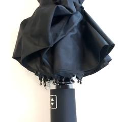 Esernyő Zwart, amint azt Arriva Limburg Zuid az iLost segítségével jelentette.