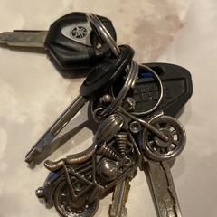 Sleutelbos met sleutelhanger motor, iLost-i jakinarazi zaion moduan