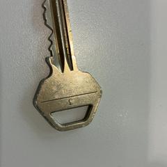 Chave LIPS, como reportado por Gemeente Waalwijk utilizando o iLost