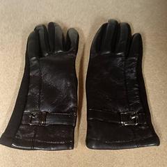 Luvas Zwart, segundo informou Qbuzz GD Groningen Peizerweg usando iLost