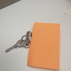 Brelok do kluczy de clés, zgłoszono przez ilévia przy użyciu iLost