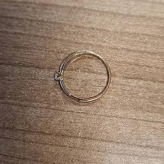 Dzwonić Goudkleurig met steentje, zgłoszono przez Connexxion Noord Holland Noord Hoorn przy użyciu iLost