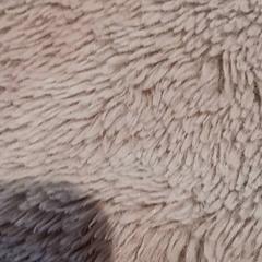 Peluche, como reportado por De Efteling utilizando o iLost
