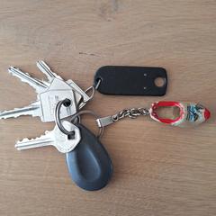 Sleutels, som rapporterats till iLost