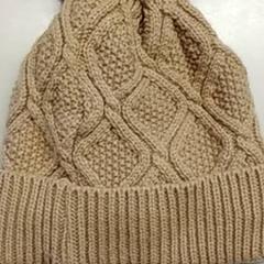 Beanie Bruin, as reported by Burgers' Zoo using iLost