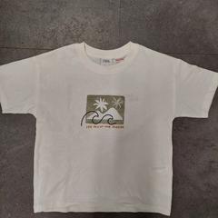 티셔츠 Zara, iLost를 사용하여 Avonturenpark Hellendoorn에 보고됨