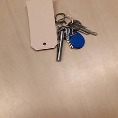 سلسلة المفاتيح، كما تم الإبلاغ عنه بواسطة RET عبر iLost