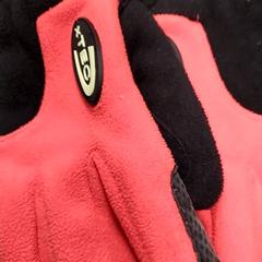 Rukavice Rood zwart, ako bolo nahlásené Arriva Friesland / Groningen pomocou iLost