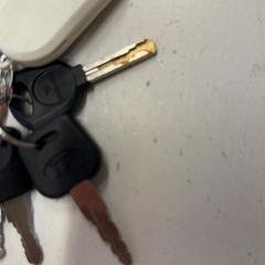 İLost kullanarak GVB tarafından bildirildiği gibi Anahtarlık