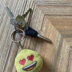 Sleutelbos sleutels met smiley, som rapportert til iLost