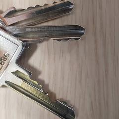 Keys, as reported by Centraal magazijn using iLost