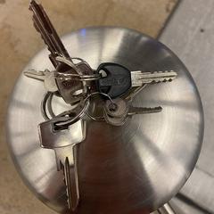 Sleutelbos, iLost에 보고됨