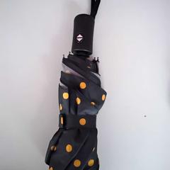 Ombrello, come riportato da Twisto utilizzando iLost