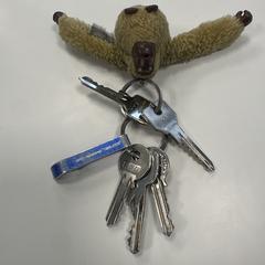 Sleutels, gerapporteerd met iLost