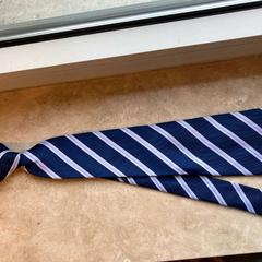 Tie, as reported by Gemeente Stichtse Vecht using iLost