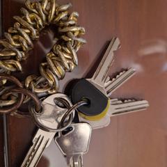 Keys, som rapporterats till iLost