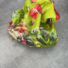 Bag, as reported by Arriva Achterhoek-Rivierenland using iLost