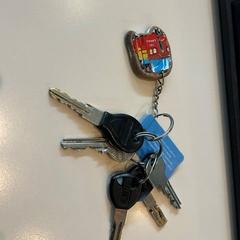 Bicycle key, as reported by LUMC using iLost