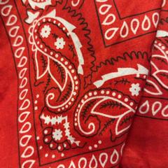 Bandana Rood, rapporterat av Familie Resort Molenwaard med iLost