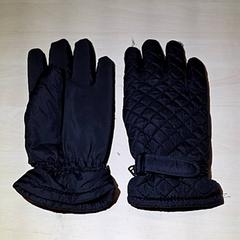 Handschuhe, gemeldet von Arriva Oost-Brabant über iLost