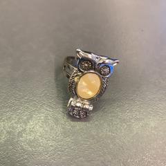 指輪 Uil がiLostで Eindhoven Airport によって報告されました