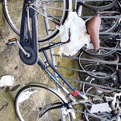 Women’s bike Rih, as reported by Stadswerk072 using iLost