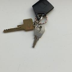 Kľúč, ako bolo nahlásené RRReis Veluwe Zuid - Apeldoorn pomocou iLost