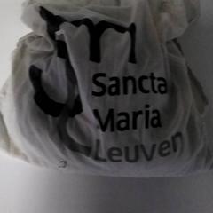 Turnpike-väska, rapporterat av Regio Antwerpen - Brussel med iLost