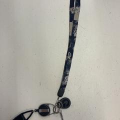 Nyckelsladd, rapporterat av HTM med iLost