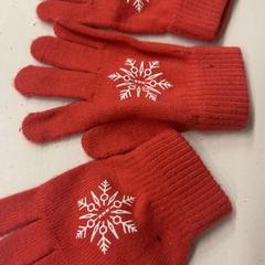 Rukavice, jak nahlášeno Het Amsterdamse Winterparadijs pomocí iLost