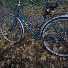 Fiets, como reportado ao iLost