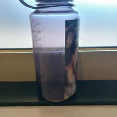 Bottiglia Afbeelding van hond (collie) op fles, come riportato da Arriva Limburg Zuid utilizzando iLost