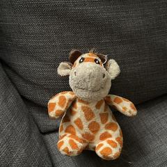 Knuffel giraf, iLost에 보고됨