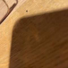 Glasses, as reported by Designer Outlet Roermond using iLost