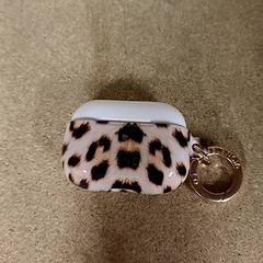 Headphone case Panterprint, as reported by Qbuzz GD Groningen Peizerweg using iLost