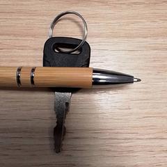 Kľúč od bicykla, ako bolo nahlásené Qbuzz Fryslân pomocou iLost