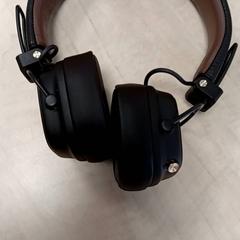 Hörlurar Bruin, rapporterat av Arriva Vechtdallijnen med iLost