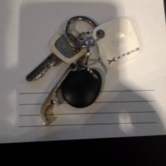 Porte-clés Wit, a été signalé par TivoliVredenburg utilisant iLost