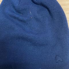 비니, iLost를 사용하여 Pathé Buitenhof에 보고됨