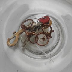 Zijstraat Utrecht がiLostに報告されました