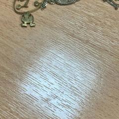 Necklace, as reported by Sheraton Brussels Airport Hotel using iLost