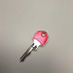 Clé, a été signalé par ilévia utilisant iLost