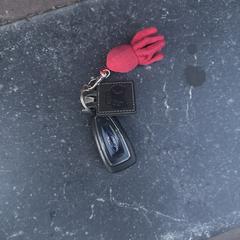 Ford auto sleutel, come riportato a iLost