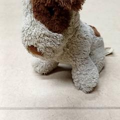 Peluche Hondje, ha sido reportado por Qbuzz GD Groningen Peizerweg con iLost